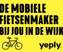 online ad NL (1)